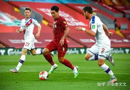 乐动体育在线游戏-利物浦与水晶宫比赛结果