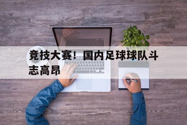 乐动体育APP下载-全国足球典型