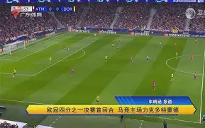 乐动体育APP下载-保加利亚进欧洲杯了吗